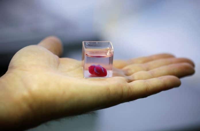 3D-Printed Human Heart