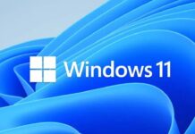 Windows 11 Overtakes Windows 10