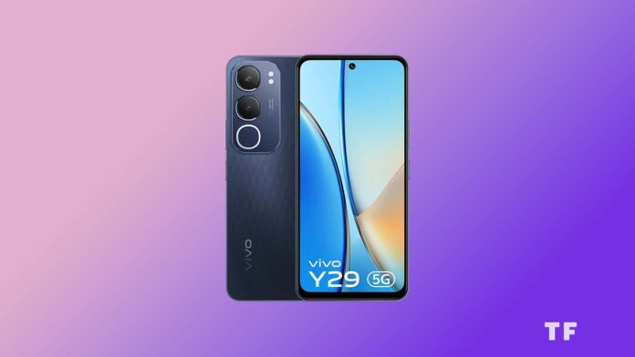 Vivo Y29 5G Launched India